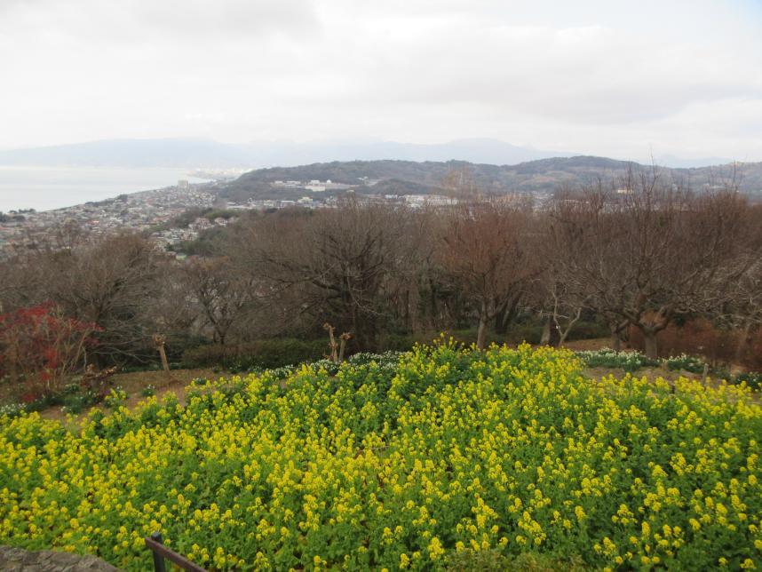 登頂直後の吾妻山