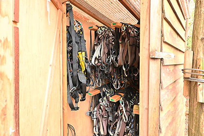 ツリークロスアドベンチャーのレンタルハーネス