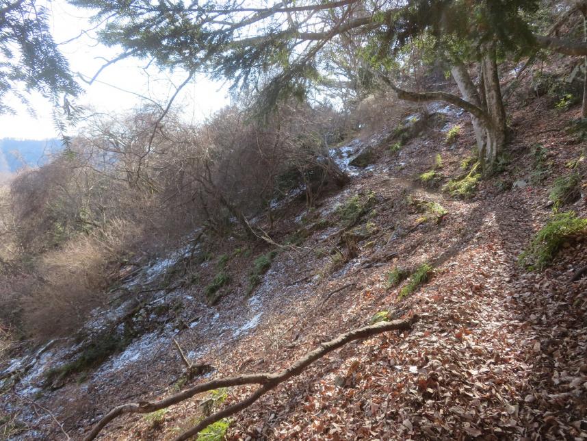 令和8年1月30日高畑山標高700メートル