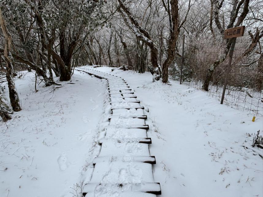 雷ノ峰尾根標高約1200メートル