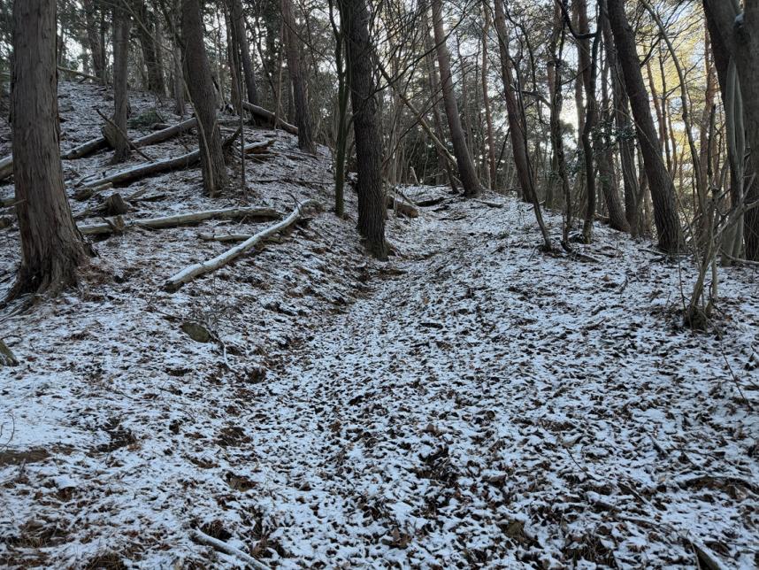 標高約800メートル