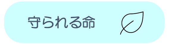 守られる命