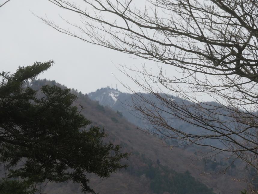 令和8年3月13日辺室山標高640メートルから見た大山