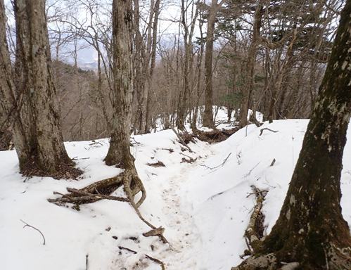 丹沢三峰標高約1200メートル