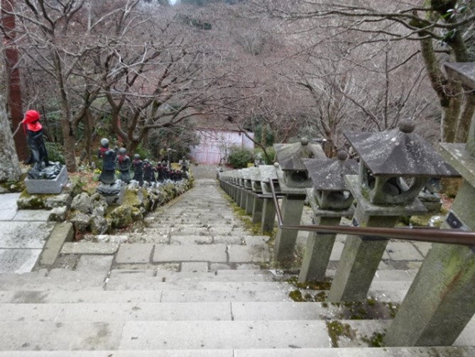 令和8年3月12日大山寺石段サクラ
