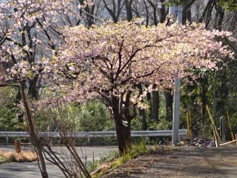 弘法山登山口周辺