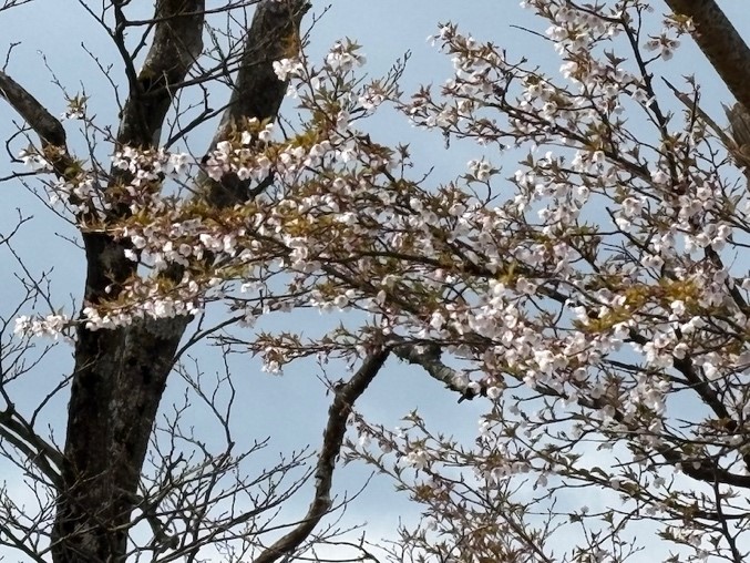 熊笹ノ峰山頂周辺