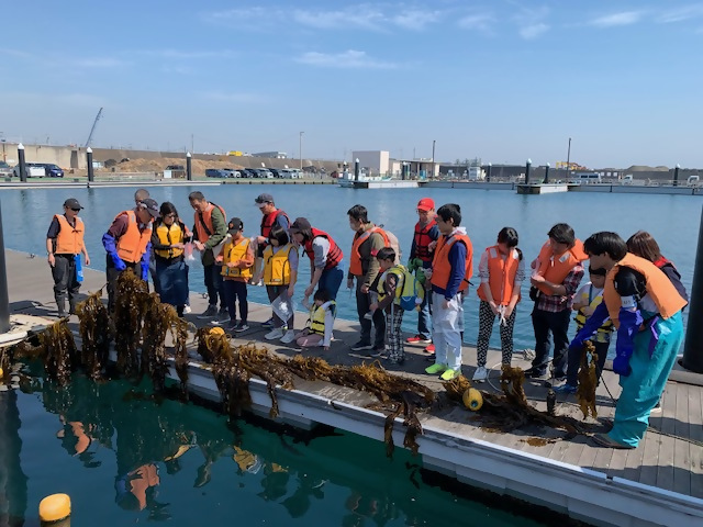 ブルーカーボン体験会1