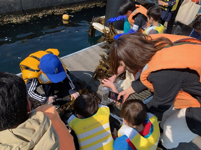 ブルーカーボン体験会2