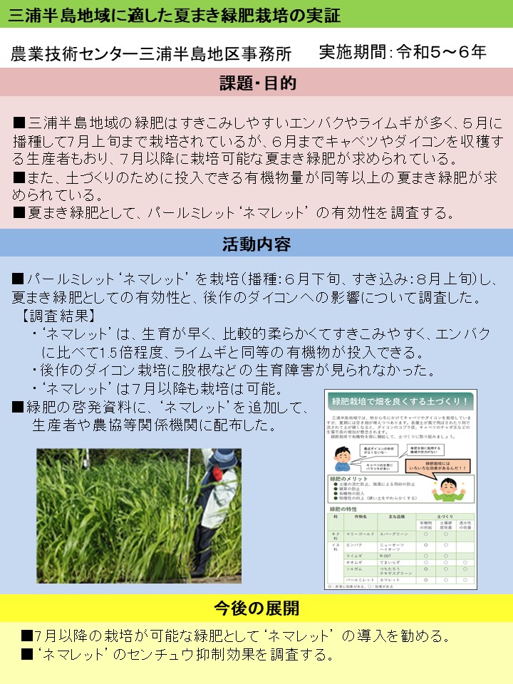 三浦半島地域に適した夏まき緑肥栽培の実証