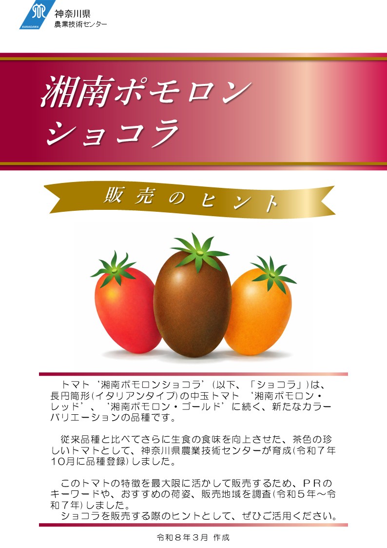 湘南ポモロンショコラ販売のヒント_サムネイル