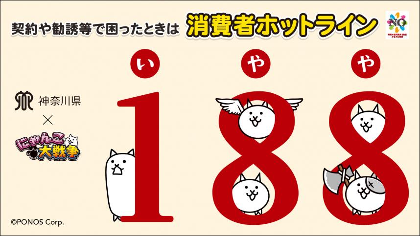 にゃんこ188