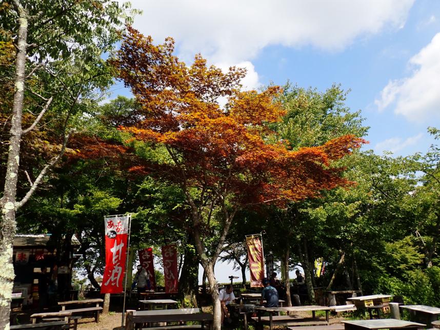 260819小仏城山山頂の紅葉