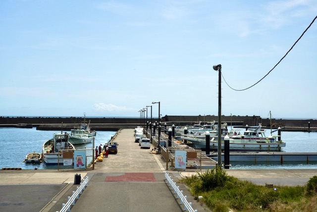 shinkou02