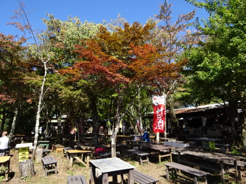 10月8日小仏城山山頂色づき始め