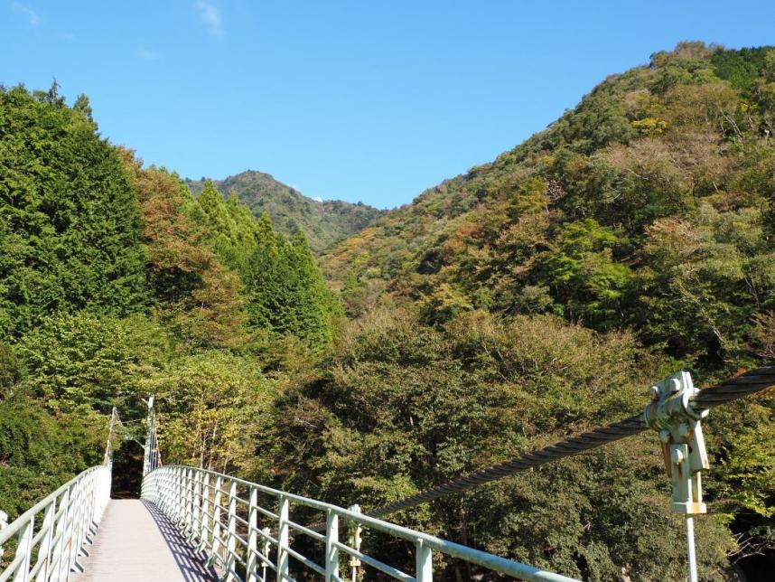 10月9日西丹沢ビジターセンター色づき始め