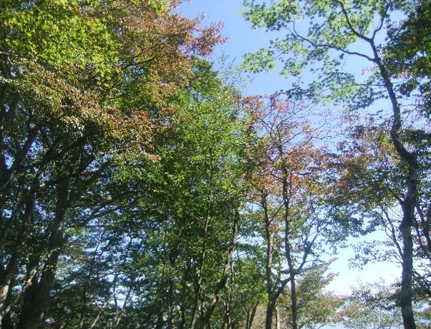 10月10日檜岳山頂周辺