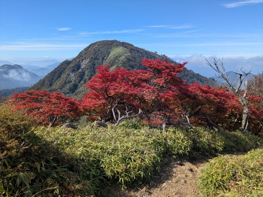 10月12日鬼ヶ岩見ごろ