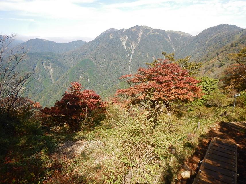 10月26日塔ノ岳山頂色づき始め