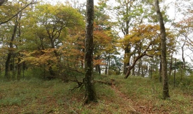 10月19日丹沢山瀬戸沢ノ頭色づき始め