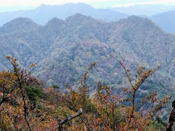 令和8年10月29日雷ノ峰尾根から大山三峰方面