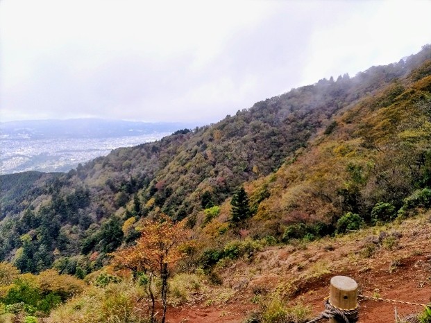 令和8年10月29日雷ノ峰尾根から大山下社方面