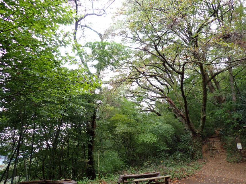 小仏峠