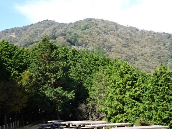 見晴台から見た山頂方向