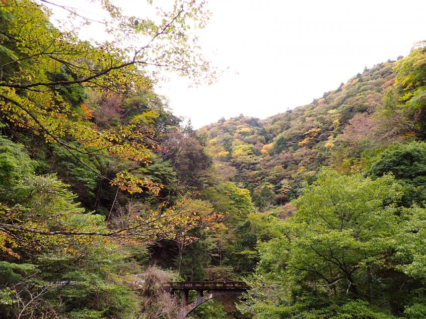 塩水橋