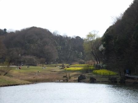 写真:四季の森公園の池