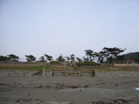 写真:浜から見た葉山公園