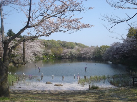 三ツ池公園 みついけこうえん 神奈川県ホームページ