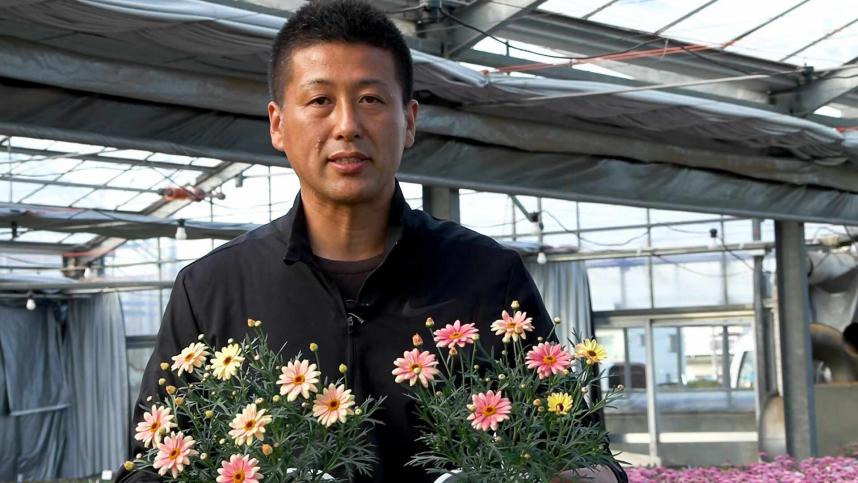 寒川鈴木園芸の鈴木和憲さんとマーガレット
