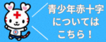 青少年赤十字について