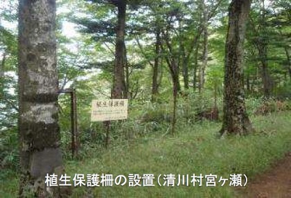 植生保護柵の設置