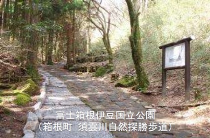 富士箱根伊豆国立公園