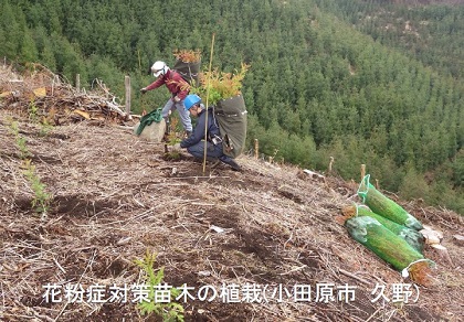 花粉対策苗木の植栽