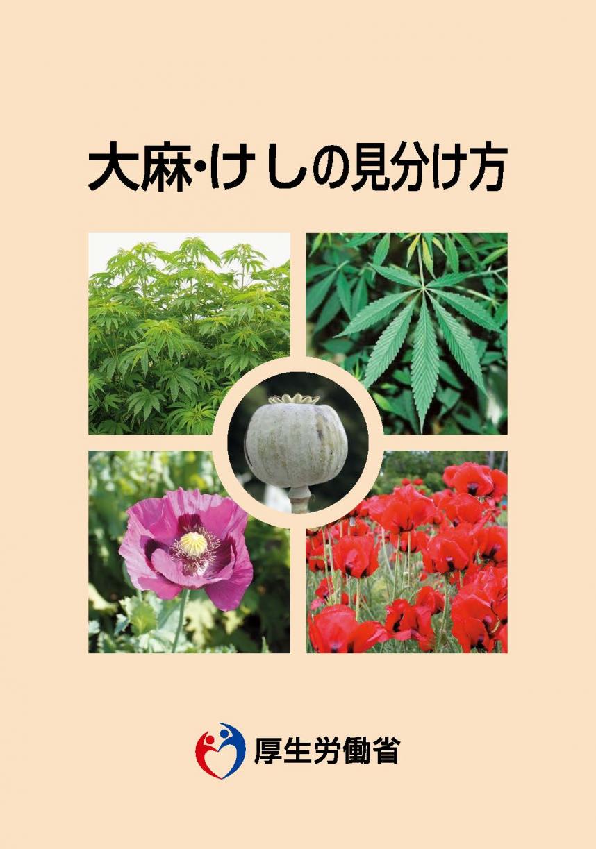 栽培できない「けし」について - 神奈川県ホームページ