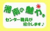 湘南の魅力を当センター職員が紹介するページへ