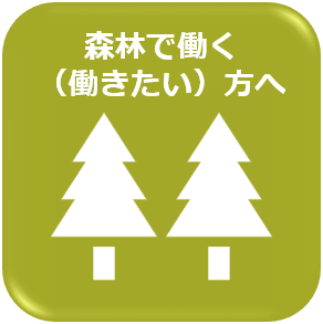 森林で働く（働きたい）方へ