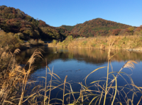 中津川の写真