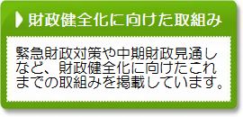 財政健全化に向けた取組み