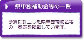 県単独補助金等の一覧