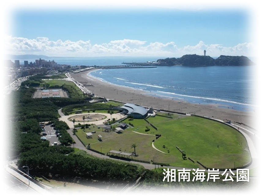 公園事業