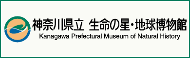 kanagawa prefectural museum of natural history