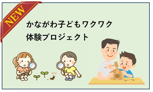 ワクワク体験