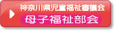 神奈川県児童福祉審議会母子福祉部会