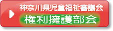 神奈川県児童福祉審議会権利擁護部会