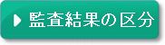 監査結果の区分