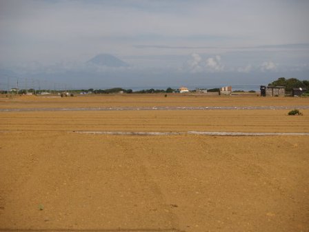 富士山と裸地畑